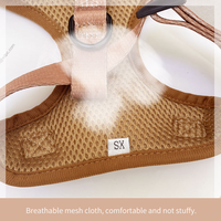 Quantité minimale de commande bas personnalisé Logo luxe Designer XS confortable chaud Teddy velours collier de laisse pour chien de compagnie harnais laisse ensemble