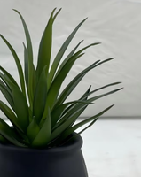 Plantes succulentes artificielles en PE, écologiques, résistantes aux UV, décor de mini-jardin persistant pour usage intérieur et bureautique