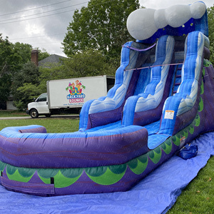 Tobogán Inflable Tropical para Piscina, Diseño de Palmeras, Doble Carril, con Tobogán Acuático, en Oferta - Product Image 6