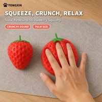 Jouet Squishy Fraise à Presser TONGXIN, Fraise Squishy à Remontée Lente, Boîte Mystère, Lot en Gros, Distributeurs Bienvenus