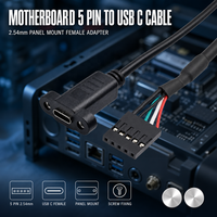 Câble d'extension USB-C femelle 2,54 mm à 5 broches pour carte mère, montage sur panneau, pour mini PC et cartes industrielles