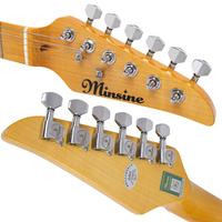 Factory Price TL Electric Guitar 6 String High Quality Closed Tuners Versatile Tone for Blues Metal Music
