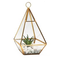 Terrarium suspendu en verre Terrarium en verre à cadre métallique Terrarium en verre géométrique Boîte d'affichage pour plantes d'intérieur