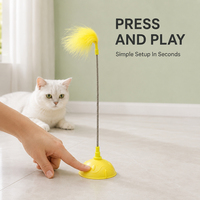 Bâton de jeu pour chat durable avec tête en plumes de remplacement, résistant aux morsures, longue tige, pour l'exercice des chatons en intérieur, accessoires pour animaux de compagnie