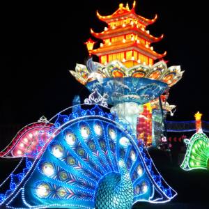 आउटडोर इनडोर नाइट टूर इवेंट के लिए रोशनी के साथ अनुकूलित मनोरंजन पार्क लालटेन - Product Image 1