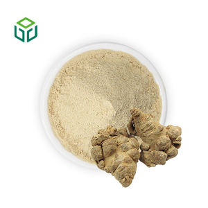 Ekstrak Herbal Kelas Makanan Bubuk Ekstrak Akar Notoginseng 80% Saponin Bersertifikat Organik Kemasan Drum - Product Image 3