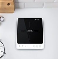 Plaque de verre noire 220V 2000W 1 double brûleur table de cuisson électrique cuisinière à induction cuisinière à induction
