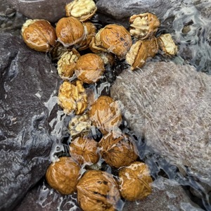 Noyaux de noix biologiques du Yunnan, collation saine, ingrédient de pâtisserie, confiture de haute qualité pour planches à découper, beurre de noix, enrichit la saveur - Product Image 5