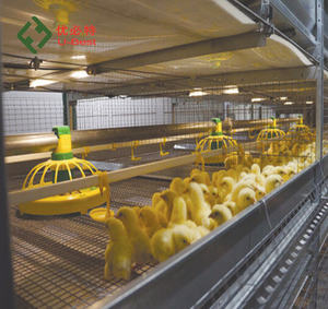 2025 nuovo Design 4 livelli di pollame Farm batteria di polli gabbie per strati per il <span class=keywords><strong>pollo</strong></span> <span class=keywords><strong>2000</strong></span> con sistema di pentole - Product Image 3