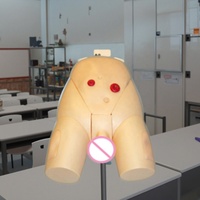 Maniquíes de Ciencias Médicas, Maniquí de Entrenamiento Médico, Modelo Avanzado para Cateterización Femenina Completa