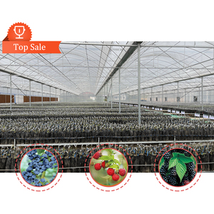 Serre polytunnel BAOLIDA, serre de culture sous abri, serre en verre multi-chapelles, serres connectées - Product Image 2