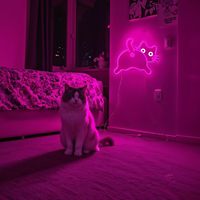 Neonawall - Enseigne néon LED chat rose pour les amoureux des chats et les passionnés de décoration de chambre, à intensité variable pour la décoration de chambre et de salle à thème chat