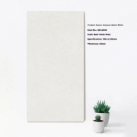 Carreaux de sol en porcelaine de 20 mm imitation mur de briques, finition mate, design européen, résistants aux acides, résistants à l'usure, antidérapants, pour villa