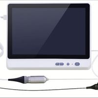 Endoscope vétérinaire portable pour laryngoscope de bronchoscopie de la vessie de l'urètre pour la coloscopie ORL-outil de diagnostic à prix d'usine