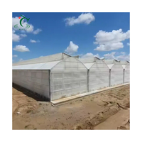 Serre agricole en film plastique pour tomates, modèle tête de vache espagnole, avec structure métallique, pour horticulture tropicale, prix