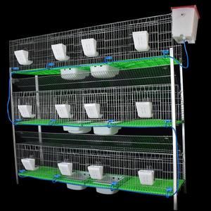 Commercial Rabbit <strong>Farm</strong> Equipment New Mother and Baby Rabbit Layer Cage with <strong>Stand</strong> for Malaysia and Philippines - Product Image 5