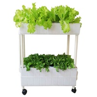 Planteur de légumes intelligent pour plantes hydroponiques, cadre de culture, stylé, Simple, avec couches réglables, nouveau,