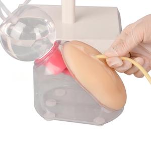 Modèle de formation à la cathétérisme féminin pour la pratique des compétences infirmières avec système de vessie simulé - Product Image 4