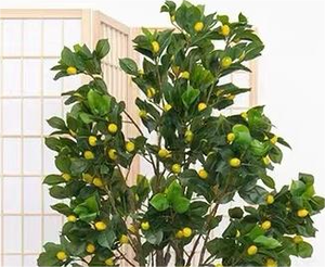 Plante artificielle de citronnier en gros avec pot, arbre fruitier simulé, décoration intérieure, bureau, bonsaï - Product Image 6