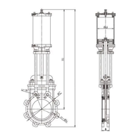 Vanne à guillotine standard API/GB/DIN, vanne à guillotine pneumatique à tige montante, vanne à guillotine à lame DN300 PN10, vanne à guillotine à volant