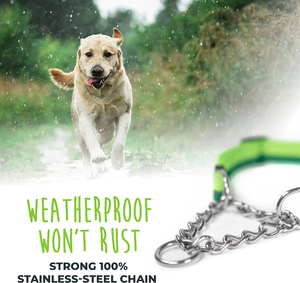 <span class=keywords><strong>Collar</strong></span> de Perro Martingale NiBao, Superventas, Ajustable, de Nailon, Antiladridos, de Acero Inoxidable - Product Image 4