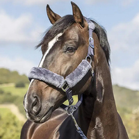 Licol de cheval durable Matériaux de première qualité Fourrure confortable Headstall de cheval Produits équins Halter de cheval Turnout Bridle Halter