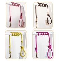 Laisse personnalisée d'escalade en montagne de couleurs multiples pour l'entraînement Laisse pour chien ronde en nylon faite à la main avec nœuds et accessoires en métal