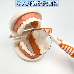 Cepillo para dentaduras postizas, cepillo de limpieza para aparatos invisibles, cepillo para dentaduras postizas de doble cara, cepillo para retenedores de ortodoncia, cepillo blanqueador - Product Image 3