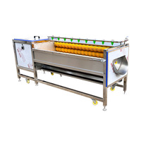 Industriële milieuvriendelijke 650W motor borstelrol wasmachine voor het reinigen van fruit en groenten in de voedingsmiddelen- en drankenindustrie