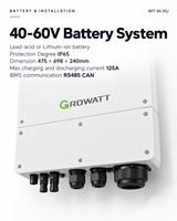 Convertisseur hybride Growatt WIT 5K-HU pour maison, batterie LiFePO4 basse tension 48V, protection IP65, montage mural