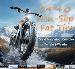 Bicicleta Eléctrica Premium de Aluminio con Llantas Gruesas de 24 Pulgadas, Suspensión Completa para Nieve, Playa y Arena, para Hombres y Mujeres - BE084, Opciones de Motor Dual Disponibles - Product Image 1