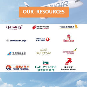 Top a buon mercato spedizioniere per il servizio porta a porta veloce mare e trasporto aereo in islanda europa francia Canada UK germania - Product Image 5