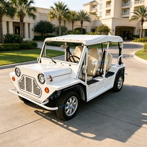 Les voitures classiques personnalisées en usine sont disponibles dans une variété de styles. Voitures classiques Jeep et voitures électriques/bus touristiques - Product Image 2