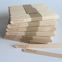 Bâtonnets de glace et de miel en bois de bouleau biodégradables et écologiques pour la crème glacée
