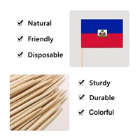 Drapeau de gâteau jetable 3.5x2.5cm personnalisé en gros pour les événements sportifs Haïti jeu de balle cure-dents