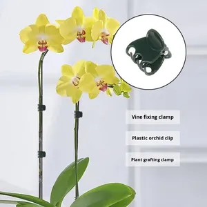 Clip de fixation pour plantes grimpantes, petit modèle vert en plastique PP, pour orchidées, Epipremnum Pinnatum, greffage de plantes de balcon - Product Image 5
