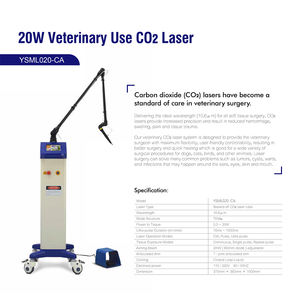 YSML020-CA Laser dokter hewan ysen, hewan peliharaan, penggunaan medis Ultrapulse CO2 terapi Laser Vet - Product Image 5