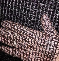 Filet d'ombrage HDPE 60g 3/6 aiguilles pour serre, tricoté warp, taux d'ombrage 60%, protection UV, bande noire, 4mx100m 5mm