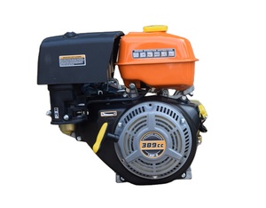 Moteur à essence 4 temps 10 CV Power Value 182F - Product Image 1