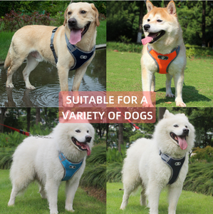 Breathable Nylon No Pull Dog Harness Vest Reflective Adjustable Printed Pet Harness for <b>Small</b> Medium Dogs Cats - Product Image 4