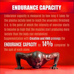 Suppléments OEM Factor Muscle Builder pour adultes Améliorer la récupération post-entraînement Capsules supérieures Monohydrate Créatine HCL - Product Image 6