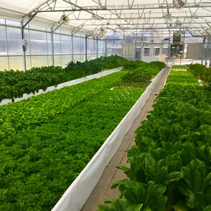 Système aquaponique tour de culture hydroponique agriculture verticale hydroponique végétale