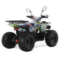 Quadricycle Tao Motor 2024 tout-terrain, économique, à essence, automatique, moteur 4 temps 110cc 125cc, ATV pour enfants
