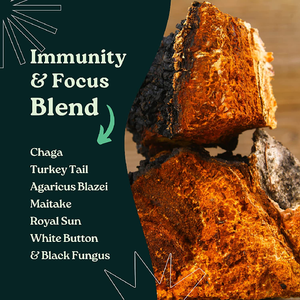 Cápsulas de Cogumelos Shiitake para Imunidade, Suplemento de Saúde para Adultos, Feito com Extrato de Cordyceps Sinensis e Cabelo de Leão, Orgânico e Vegetariano - Product Image 5