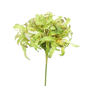 ก้านดอกอะกาแพนธัสปลอมยาว 80 ซม. สำหรับตกแต่ง สัมผัสเหมือนจริง - Product Image 3