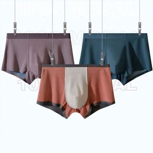 High-end Modal Men's Breathable Eco-Friendly Anti-Bacterial Seamless Elastic <b>Boxer</b> Shorts <b>Customized</b> Logo Colors ODM Wholesale - Product Image 4