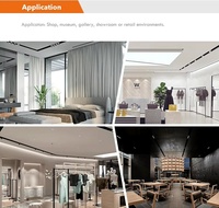 Lampu magnetik trek Led 220V, lampu sorot dalam ruangan, lampu magnetik Led hitam/putih bulat dapat disesuaikan