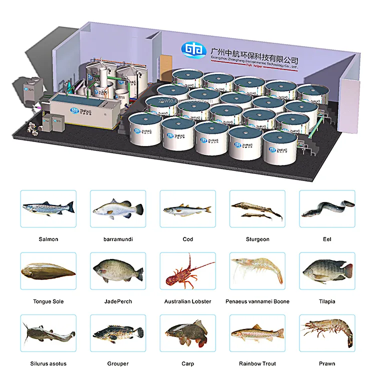 Hochwertige All-in-One-RAS-Ausrüstung und Mini-Aquakultur system für die Fischzucht in Innenräumen