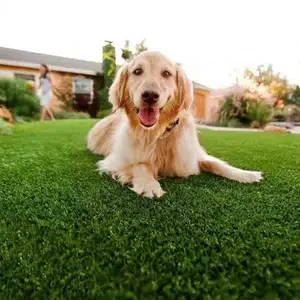 OEM Cat Dog Outdoor Pad Animals Artificial Turf Grass Pet Synthetic Mat With Catheterization Drawer Tray