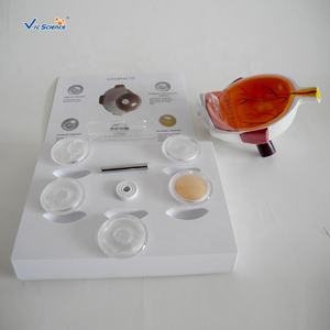 Globo ocular humano catarata anatomia modelo olho humano anatomia modelo medicina ciência escola corpo humano anatômico educação modelo - Product Image 3